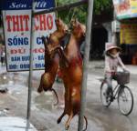 หัวขโมยสุนัขในเวียดนามโดนรุมประชาทัณฑ์เสียชีวิต