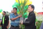 ส่งเสริมเกษตรกรใต้รื้อสวนเก่าปลูกปาล์มพันธุ์ใหม่รองรับ AFTA