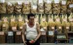 พ่อค้าฮ่องกงต้านคาเธย์แปซิฟิกแบนขนส่งหูฉลาม