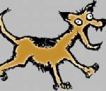 กรมควบคุมโรคตั้งเป้าปลอดพิษสุนัขบ้า 100% ภายในปี 63