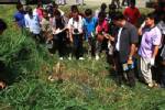 พบศพหญิงสาวนิรนาม ในพงหญ้าริมถนนสายบายพาส 36