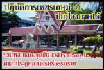 เพชรเกษม 41 เคลื่อนรับ ครม.สัญจรสมุย ขู่ปฏิบัติการหนักอนุมัติเมกะโปรเจกต์ใต้