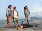 สลดพบโลมาหัวบาตรเกยหาดสามร้อยยอด คาดตายมาแล้วไม่ต่ำกว่า 3 วัน