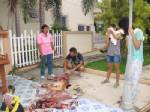 เฒ่าเมืองเบียร์สุดเหี้ยมจ้วงแทงเจ้าตูบพันธุ์โกลเด้นตายคาศาลเจ้าที่