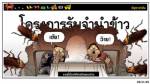 งานนี้ต้องให้เครดิตแมงสาบ