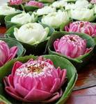 สธ.คุมเข้ม วันลอยกระทง จับผู้กระทำผิดฝ่าฝืน กม.เหล้าแล้ว 8 ราย