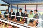 ซีพีเอฟ-มูลนิธิพัฒนาชีวิตชนบทฯ จับมือ JCC หนุนเลี้ยงไก่ไข่ในโรงเรียน ปีที่ 13