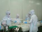 โรงงานอาหารทะเลแช่แข็งหนุนค่าแรง 300 ลดต้นทุนด้านอื่นเพื่อความอยู่รอด