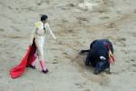 Japan bull tosses, kills man