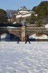 One dead, 900 hurt in heavy Japan snowfall
