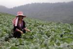 UNICEF Photo of the Week : เตรียมพบกับหนังสั้นเปลี่ยนชีวิต A Chance of Change