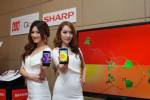 ชาร์ปส่งสมาร์ทโฟน Full HD ลงตลาด