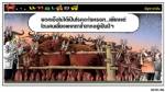 พวกเอ็งไม่ได้เป็นโรคอะไรหรอก... เพียงแต่โดนคนเลี้ยงแหกตาซ้ำซากอยู่เป็นปีๆ