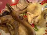 คุมเข้มตลาดขาย “เป็ด-ไก่” รับตรุษจีน หวั่นหวัดนกหวน