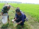 อบจ.พิจิตรนัดแกนนำชาวนาดูน้ำเหนือ 4 เขื่อน เตือนภัยแล้งงดทำนาปรัง