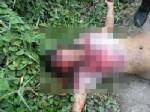 ตำรวจยังมืดแปดด้านสาวนิรนามถูกฆ่าเปลือยคือใคร เร่งปูพรมหาเบาะแส