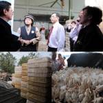 กทม.ลุยโรงฆ่าสัตว์ปีก ย้ำดูแลสุขลักษณะ-เฝ้าระวังไข้หวัดนก