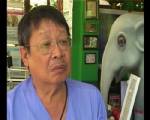 ประณามคนฆ่าช้างเอาลูก สุดโหด จี้เร่งออกกฎหมายเอาผิดสูงสุด