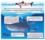 ข้อเท็จจริงเรื่อง "หูฉลาม" ที่คุณอาจไม่รู้!