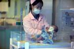 French woman drowned babies found in freezer