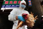 “อนามัยโลก” ยันหวัดนก H7N9 ในจีน ยังไม่น่าวิตก-แต่ตลาดหุ้นชัก “กังวล”