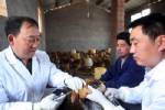สหรัฐฯรับใช้เวลานานผลิตวัคซีนหวัดนกพันธุ์ใหม่ หลังคร่าแล้ว11ศพในจีน