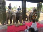 “แห่น้ำช้าง” ประเพณีดีงามเป็นเอกลักษณ์แห่งเมืองแพร่
