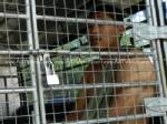 ตร.กะรนรวบทันควันวัยรุ่นชิงทรัพย์สาวในพื้นที่
