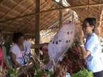 สสจ.น่าน ส่ง จนท.ลงถึงเพิงขายเห็ดริมทาง เตือนกินเห็ดพิษตายได้
