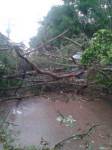พายุฝนถล่มนครพนม ฟ้าผ่าสาวเฝ้าสวนยางดับอีก 1 ศพ