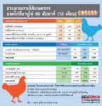 เปิดราคาประกันไข่ปีหน้า แนวโน้มได้เห็นฟองละ 10 บ.