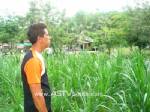 อบต.นาเมืองเพชร จ.ตรัง หนุนเกษตรกรทำแปลงหญ้าเลี้ยงโคริมข้างทาง