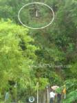 เจ้าอาวาสวัดในเตาหวั่นฝนตกหินยักษ์ร่วงอีก