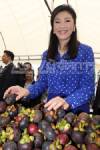 “ปู” โยน กขช.ดูข้อเสนอม็อบ ย้ำแนวคิดปลูกพืชอื่นแทนทำนา ชิ่งสื่อซักปลด “บุญทรง”