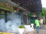 กาฬสินธุ์ป่วยไข้เลือดออก 350 ราย ระดม อสม.ฆ่าลูกน้ำ-ยุงลาย