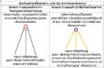 ขบวนการทักษิณ-สมีคำ คือความระยำภายใต้ระบอบเผด็จการ (เลือกตั้ง)