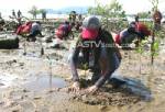 ตรังเดินหน้าโครงการปลูกป่า 80 พรรษามหาราชินี