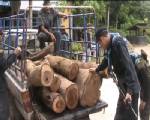 ยึดอีกไม้พะยูงมูลค่านับล้าน เตรียมขนข้ามโขง