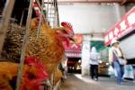 นักวิทย์จีนพบเชื้อหวัดนก H7N9 แพร่ “จากคนสู่คน” ได้เป็นครั้งแรก