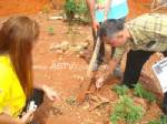 เตือนโรครากขาวในยางพาราระบาดช่วงหน้าฝน
