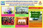 รีบเลย! ฝึกอาชีพปลูกผักไฮโดรโปนิกส์  ฟรี!
