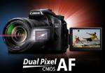 แคนนอนหวังดันตลาด DSLR ชดเชยตลาดคอมแพกต์หดตัว 40%