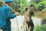 เตือนหยุดกินหมา.. โรคพิษสุนัขบ้าคร่าชีวิตชาวเวียดนามกว่า 100 ในภาคเหนือ