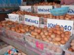 รู้สึกกันไปเอง! ไข่ในตลาดสดมหาสารคาม ฟองละ 5 บาท