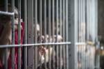 Thieves break into Italian jail