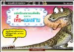 แข่งชักเย่อรอบตัดสิน