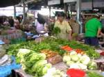 น้ำท่วมทำผักแพงกระฉูด ผักกาด ต้นหอม ผักชี ขึ้นหมด รัฐบาล “ปู” จ่อให้ขึ้นราคาน้ำนมดิบ คาดนมตามขึ้นอีก