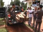 สกัดจับกระบะป้ายแดงซุกไม้พะยูงมูลค่านับล้าน