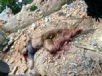 สิ้นชื่อ! “เปเล่ดำ” แกนนำ RKK และพวกถูกวิสามัญในเหตุปะทะที่รือเสาะ ดับคาที่ 4