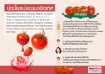 ประโยขน์ของมะเขือเทศ